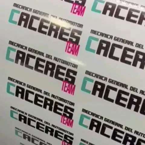 Cáceres Team: ploteo, calcos y estampados — foto 6