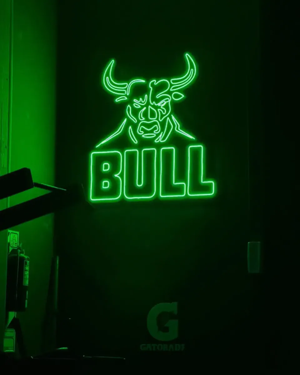 Bull: llegó el neón LED a Villa Gesell — foto 2