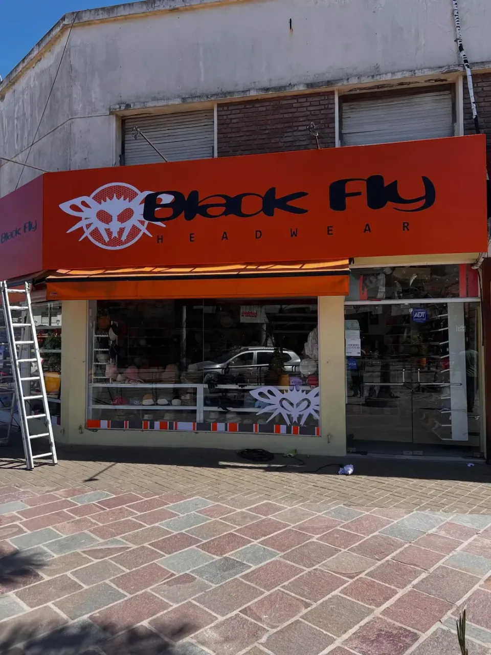 Black Fly: frente y vidriera — foto 2