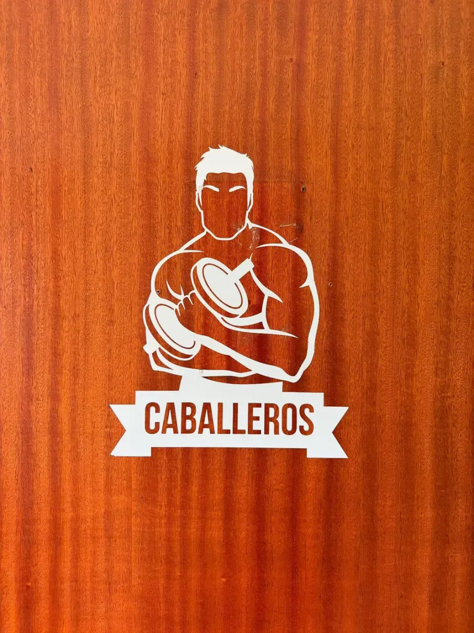 Olimpo Gym: neón LED y vinilo de corte — foto 4