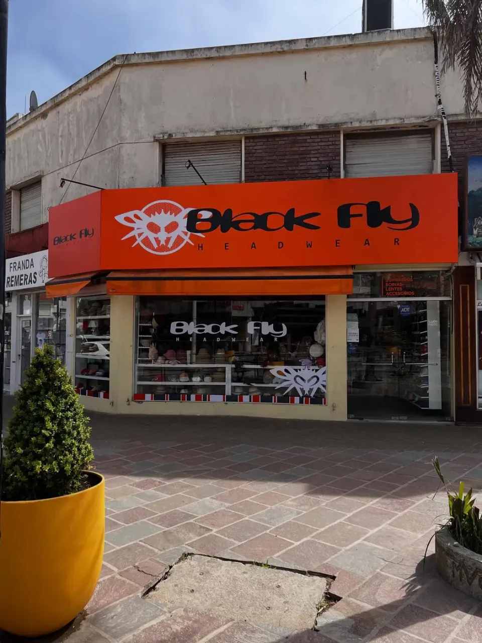 Black Fly: frente y vidriera