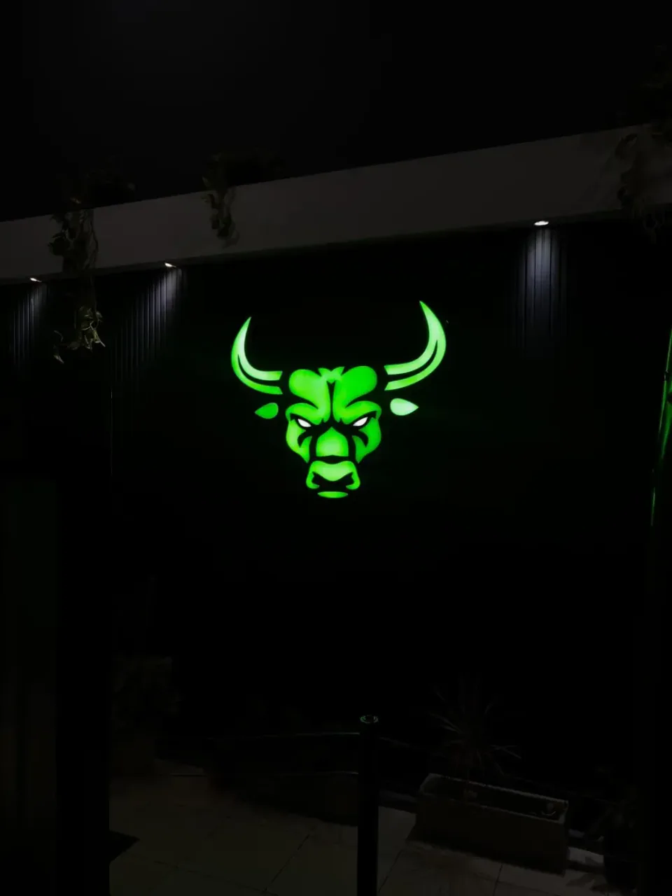Cartel luminoso de acrílico líquido para Bull — foto 2