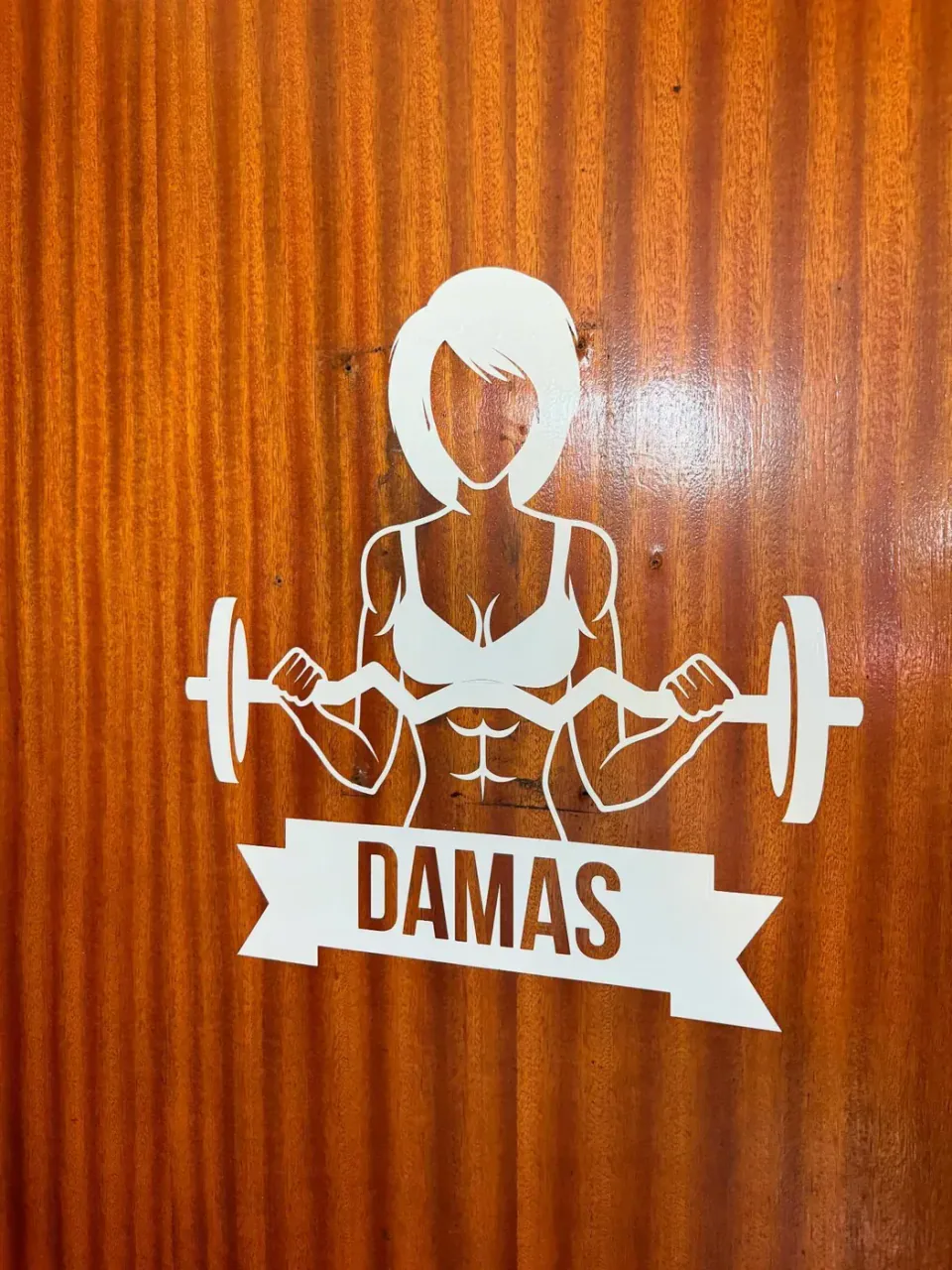 Olimpo Gym: neón LED y vinilo de corte — foto 3