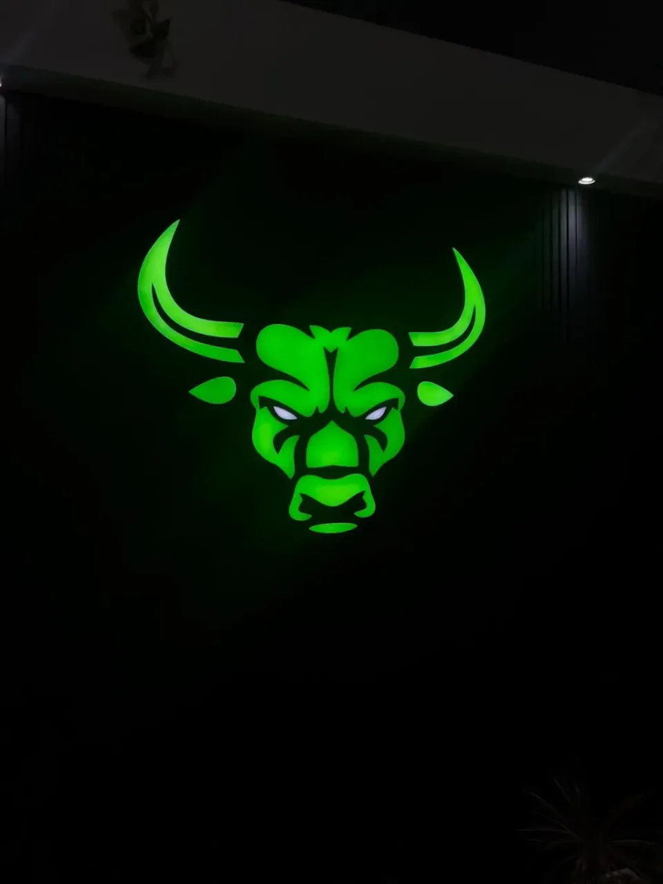 Cartel luminoso de acrílico líquido para Bull