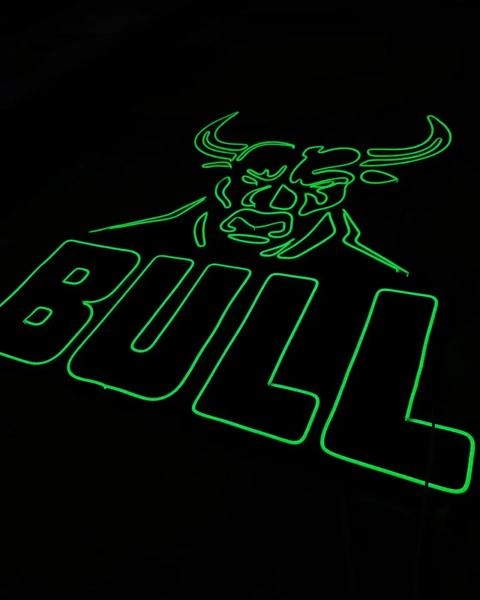 Bull: llegó el neón LED a Villa Gesell — foto 4